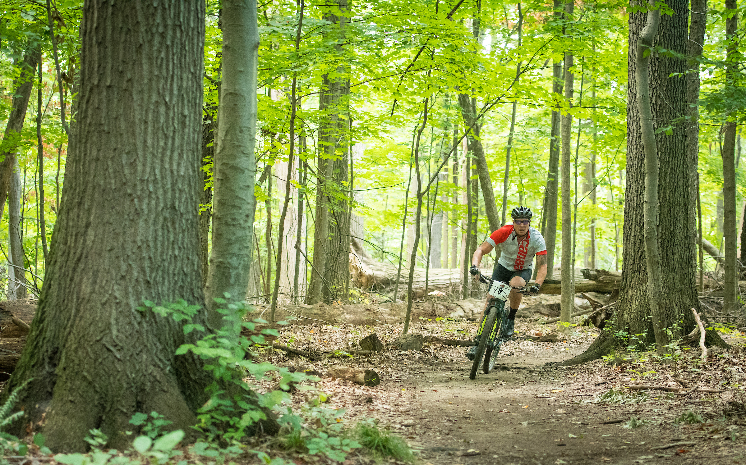 Bedford-MTB.jpg