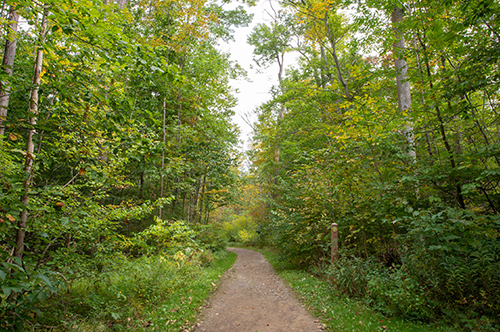 Hickory-Fox-not-exact-trail-but-in-NC.png