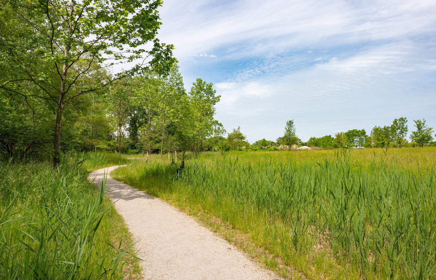 Cleveland Metroparks and Partners Celebrate the Opening of Brighton Park