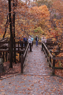 Berea falls overlook