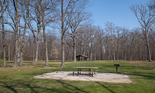 Wolf Picnic Area Trailhead