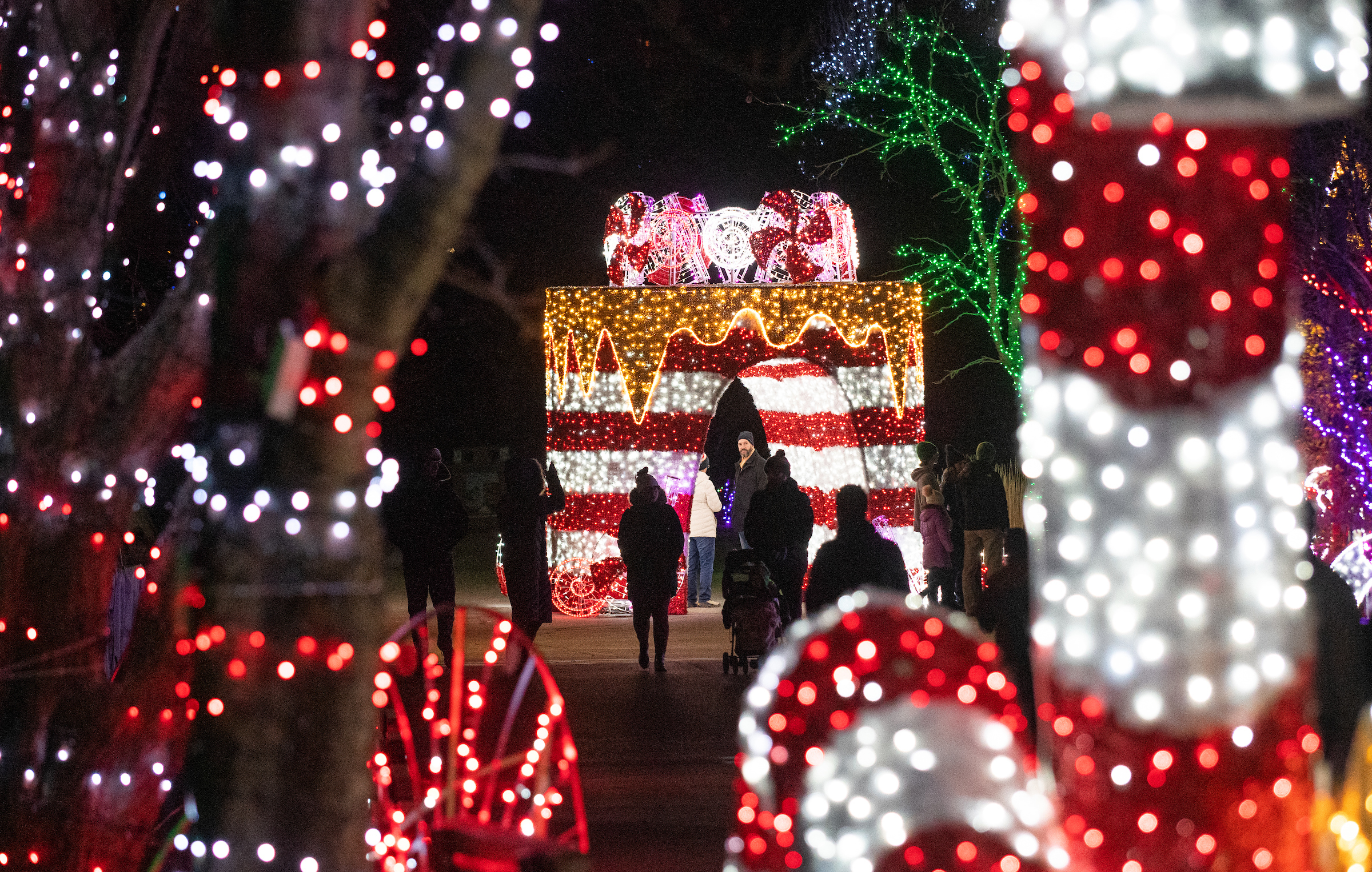 Cleveland Metroparks Zoo Extends Wild Winter Lights through January 7