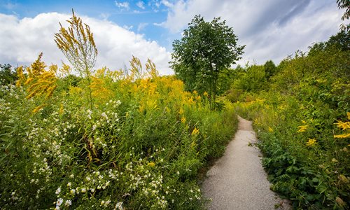 North Chagrin Nature Center Trailhead