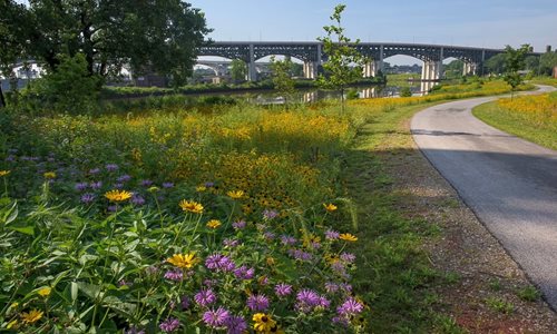 Towpath Trail at W.13 Place and Abbey Rd