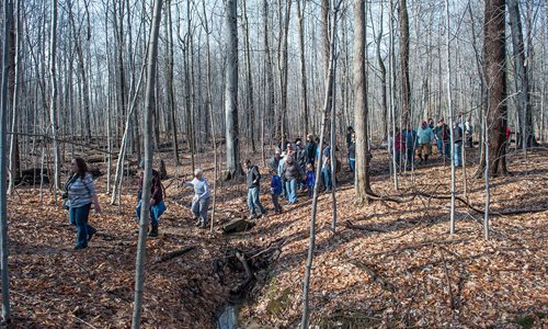 A.B. Williams Memorial Woods