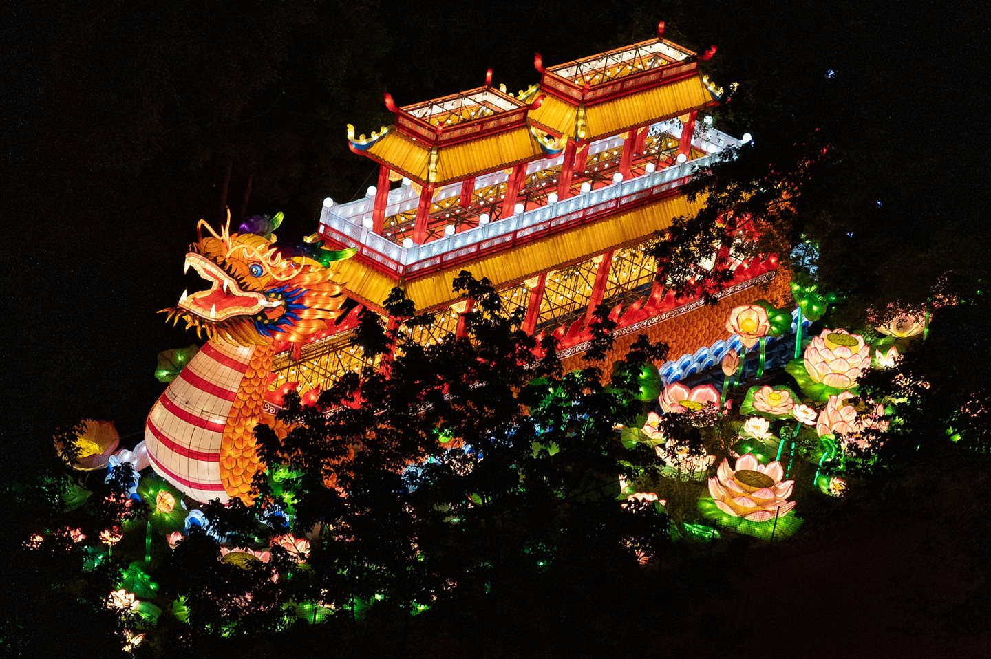 Cleveland Metroparks Zoo Extends Asian Lantern Festival through September 16