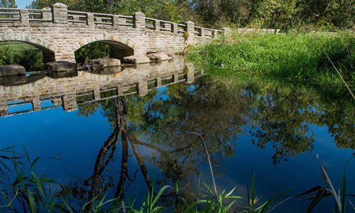 Garfield Park Reservation