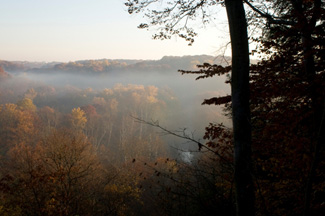 Misty morning at Bedford Park