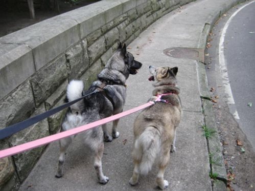 Isabel and Timber Lahr