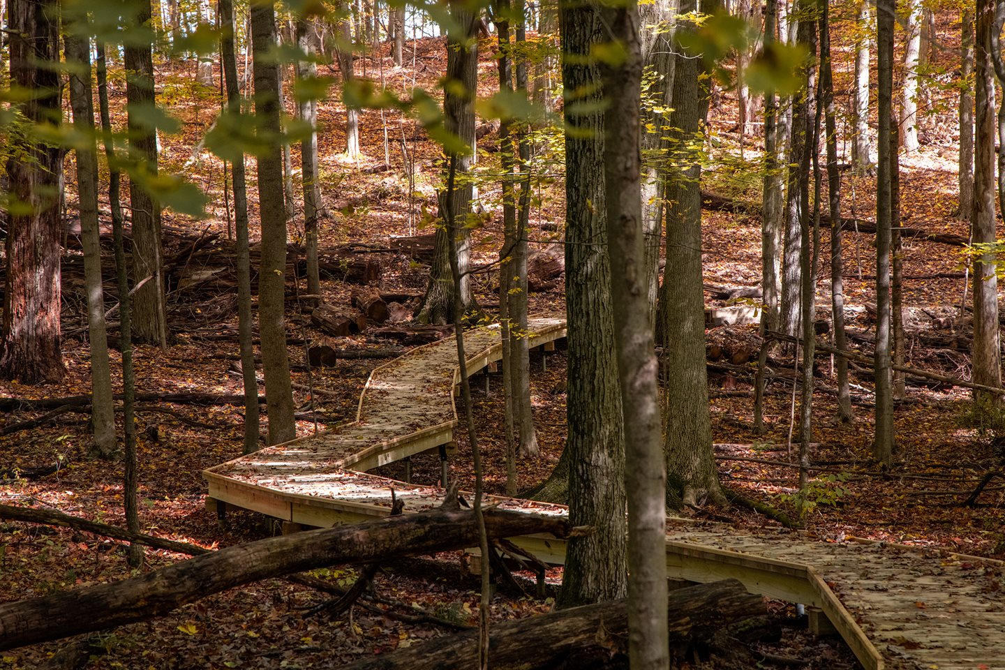 Cleveland Metroparks Opens New Trails and Scenic Overlook in Brecksville Reservation