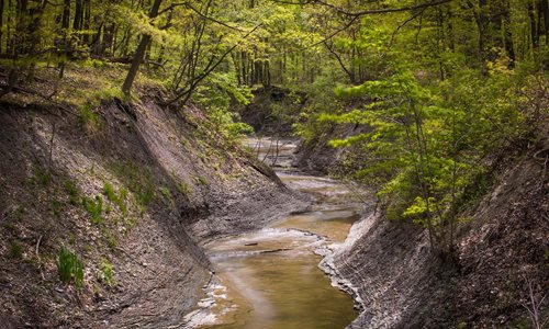 Euclid Creek Reservation